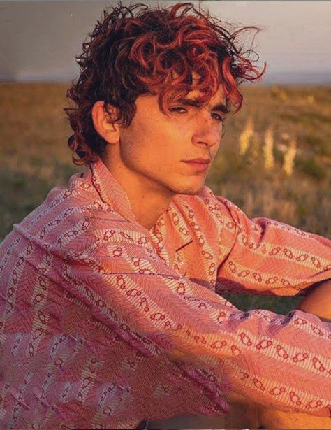 Bones And All, Timmy T, The Perfect Guy, Timothee Chalamet, Film Serie, Pink Shirt, Celebrity Crush, Red Hair, Actors & Actresses