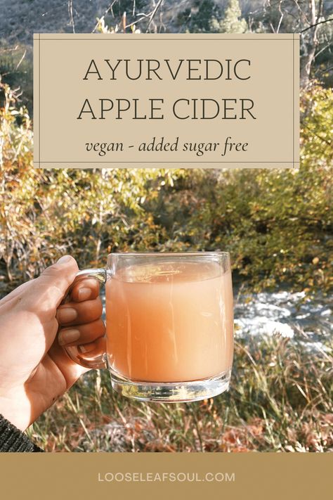 Ayurveda Autumn Recipes, Ayurveda Vata Meal Plan, Holistic Healing Recipes, Ayurvedic Remedies Skin Care, Sugar Free Apple Cider Recipe, Fall Ayurveda, Vata Dosha Recipes, Ayurvedic Recipes Kapha, Aryuvedic Recipes