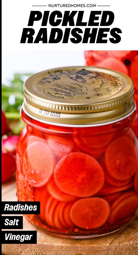 You'll be obsessed with this pickled radish recipe if you love making tacos! Pickle Radishes, Radish Recipe, Quick Pickled Radishes, Pickled Radish, Homestead Recipes, Pickled Shallots, Radish Recipes, Quick Pickled, Watermelon Radish