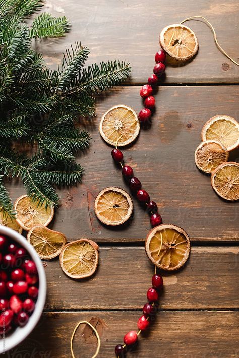 Dried Orange Garland, Sweater Ornaments, Diy Cinnamon, Cinnamon Ornaments, Upcycled Sweater, Natural Christmas Decor, Orange Christmas, Ornament Cookies, Prim Christmas