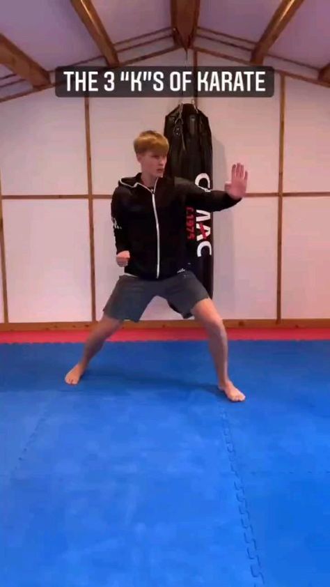 Kenpo Karate Techniques, Karate Exercises, Karate Workout, Karate Techniques, Karate Video, Karate Moves, Martial Arts Gif, Defense Techniques, Karate Kick