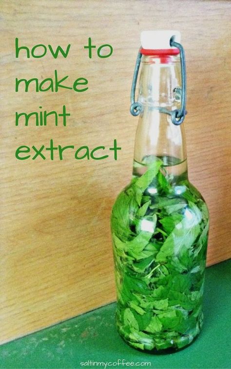 Diy Extracts, Mint Extract, Mint Recipes, Homemade Spices, Homemade Seasonings, Garden Recipes, Christmas Cooking, My Coffee, Spice Blends