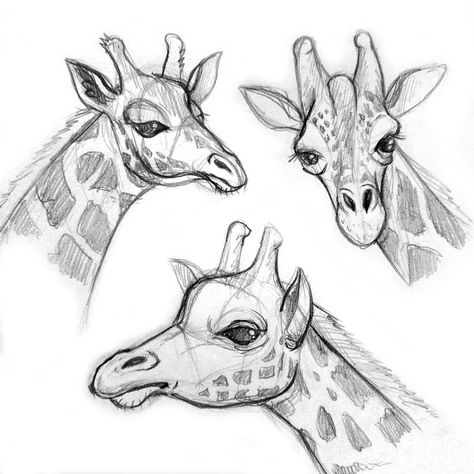 Giraffe Sketch Easy, Giraffes Drawings, Girafe Drawings, Giraffe Drawing Easy, Giraffe Drawings, Giraffe Sketch, Creative Pencil Drawings, Cute Giraffe Drawing, Paisley Drawing