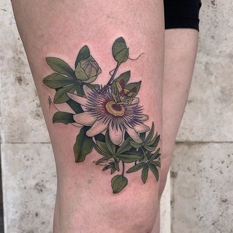 New one for @laurenmaiaos today. Passion flower on the opposite thigh. #pooka #ochoplacas #passionflower #passionflowertattoo #passiflora Passion Flower Tattoo, Dragon Fruit Flower, Purple Passion Flower, Passion Fruit Flower, Flower Vine Tattoos, Blue Passion Flower, Mother And Son Tattoo, Flor Tattoo, Flower Tattoo Meanings