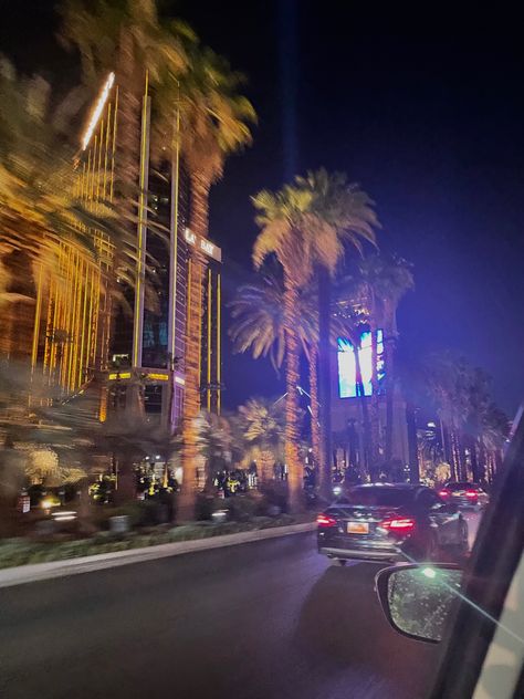 Las Vegas Nightlife, Vegas Nightlife, Vegas Night, Vegas Strip, Palm Trees, At Night, Night Life, Las Vegas, Trees