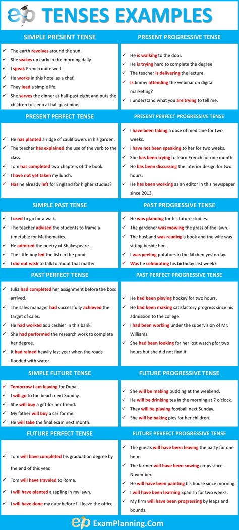 Tenses Examples (58 Sentences of all tenses) Tenses Examples, Tefl Lessons, Verbal Tenses, Basic English Grammar Book, Grammar Tenses, Tatabahasa Inggeris, All Tenses, Tenses Grammar, English Grammar Notes