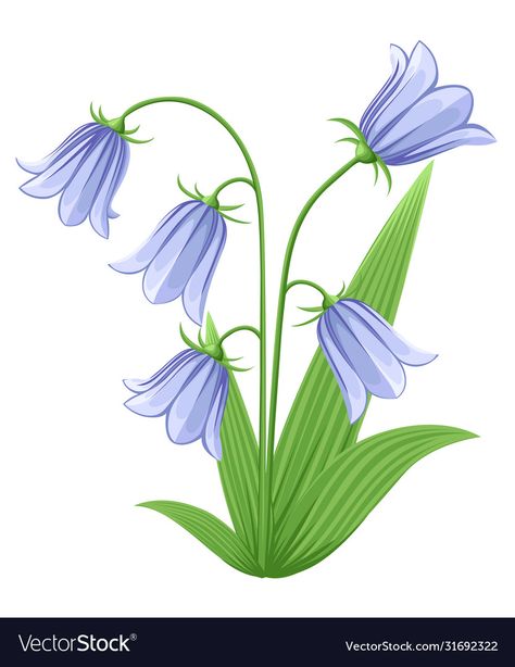 Easy Flower Drawings, Bell Flowers, Blue Bell Flowers, Flower Art Drawing, Flower Icons, Hand Drawn Vector Illustrations, Blue Bell, Hand Drawn Vector, Drawing Images