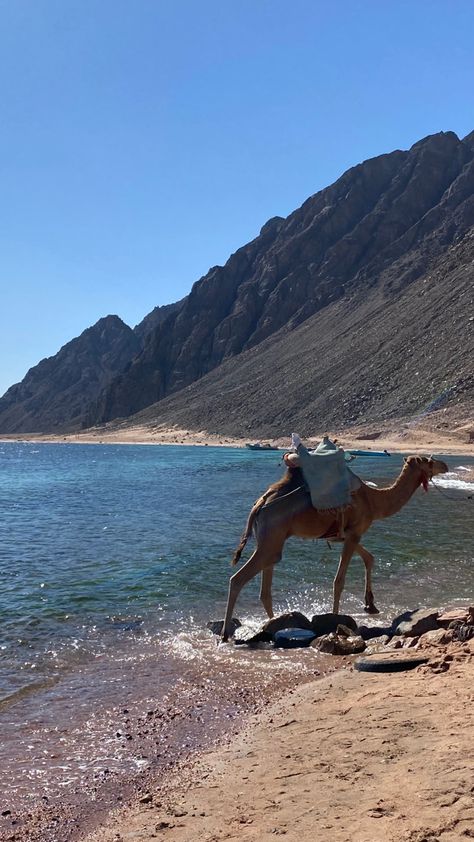 Dahab Egypt Aesthetic, Dahab Egypt, Sharm El Sheikh Egypt, Egypt Aesthetic, شرم الشيخ, Starry Eyes, Nature Sea, Visit Egypt, Sharm El Sheikh