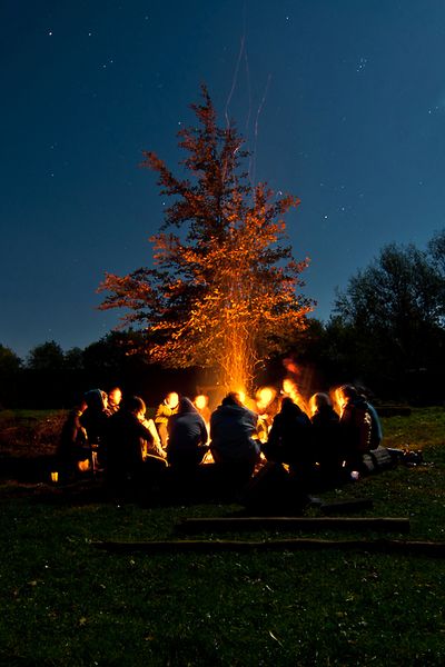 Sitting Around A Campfire, A Group Of People, Bonfire Night, Into The Wild, Group Of People, Go Camping, Nara, A Fire, Lps