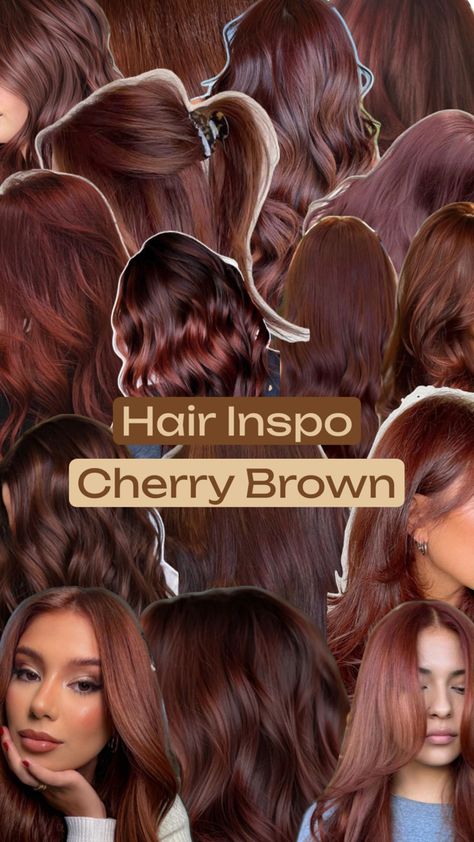 Inspiration for Cherry Brown Hair Colour Red Hair On Brown Skin, Cherry Coke Hair, Cherry Brown Hair, Brown Hair Colour, Cherry Cola Hair, Cherry Hair Colors, Hair Color Asian, Red Hair Inspo, Wine Hair