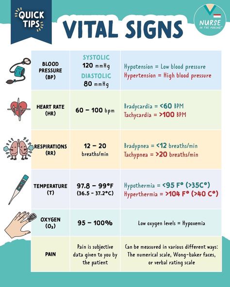 Ekg Study Guide, Clinical Nurse Educator, Lvn School Essentials, Vital Signs Chart Printable, Emt Study Notes, Lvn Notes, Cna Notes Nursing Students, Medical Surgical Nursing Notes, Emt Flashcards