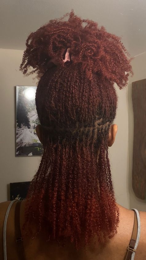 Microlocs With Braids, Microlocs Long Hair, Faux Sister Locs, Twist Locs, Red Locs, Twa Hairstyles, Micro Locs, Afro Twist, Natural Hair Bun Styles