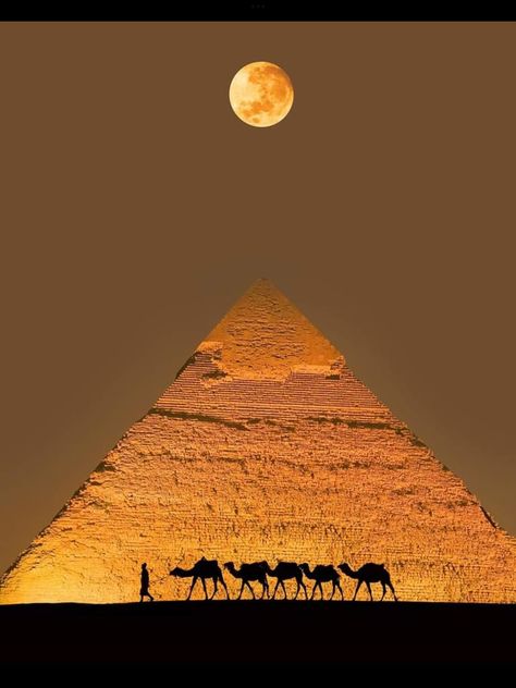 Egypt Aesthetic, Giza Egypt, Pyramids Egypt, Hawaii Wall Art, Iphone Wallpaper Stills, Great Pyramid Of Giza, Egyptian Pyramids, Amazing Places On Earth, Visit Egypt