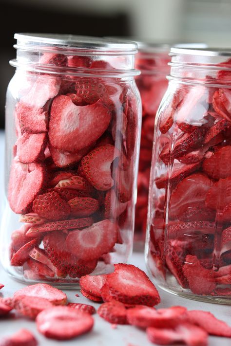 How to freeze dry strawberries at home in a harvest right freeze dryer. Step-by-step instructions for successfullly freeze drying berries. How To Freeze Dry Strawberries, Freeze Dry Strawberries, Dry Strawberries, Freezing Veggies, Harvest Right Freeze Dryer, Freeze Dried Food, Freeze Dryer, Dried Berries, Freeze Dried Strawberries