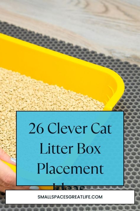 Keep your apartment and your cat happy with these essential pet-approved strategies tailored for apartment living. Small Space Litter Box Ideas, Small Apartment Litter Box Ideas, Apartment Cat Ideas, Litter Box Ideas, Apartment Therapy Small Spaces, Standing Clothes Rack, Cat Happy, Sassy Cat, Dead Space