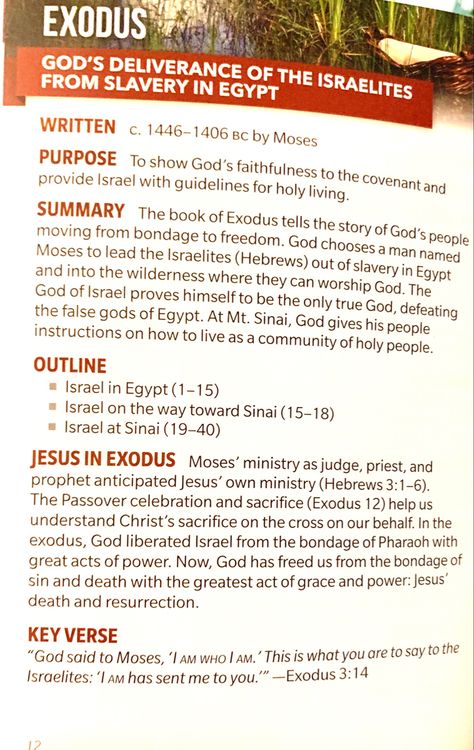 Exodus Summary, Bible Understanding, The Book Of Exodus, Bible Summary, Old Testament Bible, Book Of Exodus, Bible Books, Verse Mapping, Study Notebook