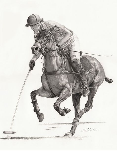 Polo by CaldeiraSP on DeviantArt Polo Horse, Horse Sketch, The Lone Ranger, Equestrian Art, Polo Pony, Lone Ranger, Horse Drawing, Horse Drawings, Commercial Art