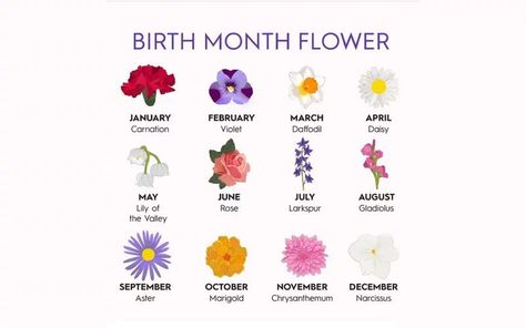 Find Out Your Birth Flowers By Korean Flower Chart! June Flower, July Birth Flower, June Birth Flower, Flower Chart, April Birth Flower, September Flowers, April Flowers, Birth Flower Tattoos, Flower Meanings