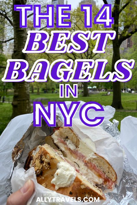 Best Bagels In Nyc, Bagels Nyc, Financial District Nyc, Ny Bagel, Nyc Bucket List, Nyc Spring, New York Bagel, Nyc Travel Guide, Best Bagels