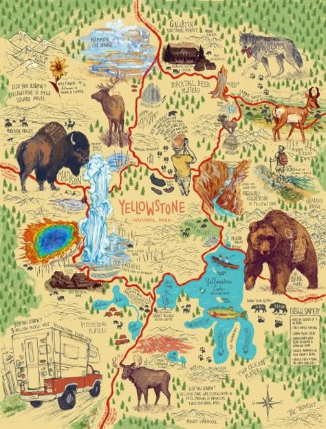 Map of Yellowstone on Behance Truck Activities, Western Vacation, Honeymoon Adventure, Yellowstone Map, Yellowstone National Park Vacation, Yellowstone Vacation, Yellowstone Trip, Wyoming Travel, Visit Yellowstone