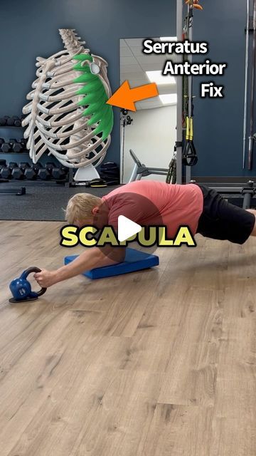 Dr. Adam McCluskey PT, DPT on Instagram: "💥Don’t Neglect this Critical Shoulder Muscle!💥 (Full Shoulder Program on sale in @theptinitiative bio link!...)
.
.
🔑The serratus anterior is an important muscle that sits underneath your shoulder blade and wraps around the side to your ribs. It plays a significant role in keeping your scapula moving optimally when reaching overhead.
—-
🔎Sometimes when we don’t have optimal stability of the shoulder blade, the scapula can “wing out” leading to the popular term – scapular winging.
—
🤓Don’t view winging scapula as a diagnosis but instead a description of movement quality. Whenever I see a scapula winging out with clients of mine, I use it as a guide to investigate further if their shoulder stabilizers need a bit of strengthening.
—
🎯These exerc Levator Scapulae Pain Relief, Serratus Anterior Muscle, Scapular Winging, Serratus Anterior, Shoulder Muscle, Muscle Stretches, Shoulder Muscles, Shoulder Pain, Save For Later