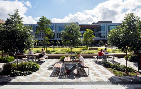 Macquarie University’s new central courtyard reimagines traditional campus life Campus Landscape Design, Campus Landscape, Macquarie University, Plaza Design, Central Courtyard, Lecture Theatre, Brutalist Buildings, Courtyard Design, Campus Life