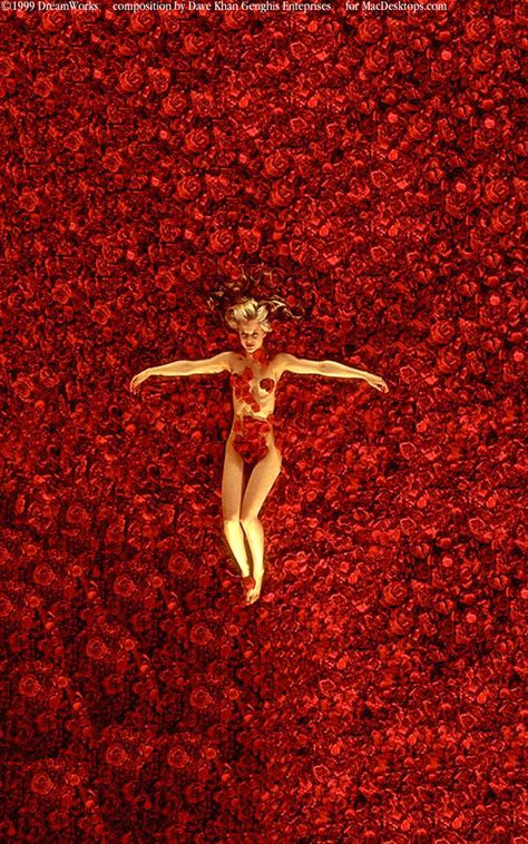 American Beauty Red Roses Mena Suvari, Annette Bening, Pier Paolo Pasolini, Septième Art, I Love Cinema, Kevin Spacey, Beauty Wallpaper, Great Films, Six Feet Under