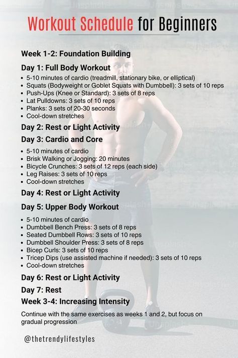 Beginner Workout Schedule, Cool Down Stretches, Cardio Treadmill, Strength Workouts, Brisk Walking, Light Activities, Bicycle Crunches, Body Strength, Leg Raises