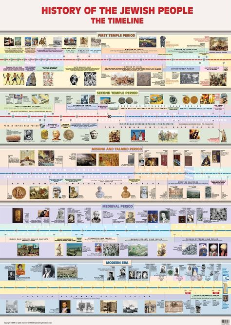 History Teacher Classroom, History Classroom Decorations, Bible Genealogy, World History Classroom, Bible Timeline, Funny Art History, History Classroom, Bible History, History Quotes