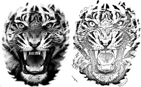 Tiger Tattoo Stencil Design, Lion Face Tattoo Stencil, Tiger Face Tattoo Stencil, Tiger Design Tattoo, Tiger Drawing Tattoo, Realistic Tiger Tattoo Design, Tiger Face Tattoo Design, Tiger Tattoo Drawing, Tiger Tattoo Sketch