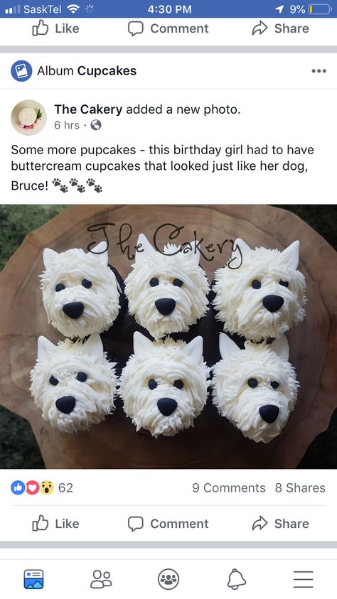 Westie Cupcakes, Puppy Cake, Buttercream Cupcakes, Cat Cookies, Bakery Ideas, Scottish Terriers, 50th Party, Clay Diy Projects, Cupcake Ideas