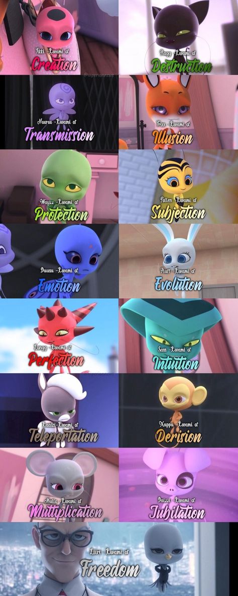 Miraculous Fan Made Kwamis, How To Make The Miracle Box From Miraculous, Miraculous All Kwamis, Miraculous Kwami Names, Miraculous Group Photo, Ladybug And Cat Noir Kwamis, Miraculous Username Ideas, Nooroo And Duusu Kwami, Sass Miraculous Kwami