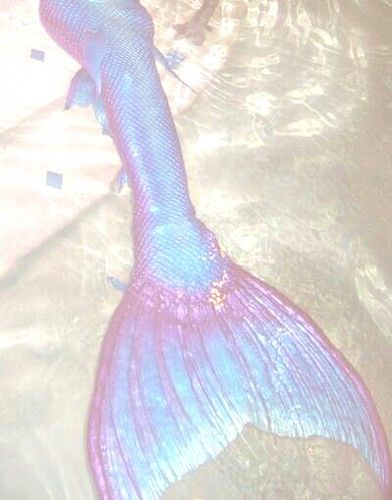 beautyfromthorns: 💗 Mermaid Dreams 💙 | from my tumblr blog… | Puff Pink | Flickr No Ordinary Girl, Silicone Mermaid Tails, H2o Mermaids, Siren Mermaid, Catty Noir, Mermaid Pictures, Karakter Disney, Mermaid Tale, Mermaid Aesthetic