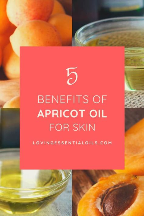 5 Benefits of Apricot Carrier Oil for Skin - Carrier Oil Spotlight. When it comes to carrier oils for essential oils and DIY recipes there are many options available to pick from. It really just depends on what you are looking for in a carrier oil. Find out the Benefits of Apricot Oil for Skin and ways that it is frequently used. #apricotoil #carrieroils #lovingessentialoils Apricot Oil For Skin, Apricot Oil Benefits, Carrier Oils For Skin, Oil Cleansing Method, Oil For Skin, Anti Aging Oils, Essential Oil Benefits, Apricot Oil, Natural Sunscreen