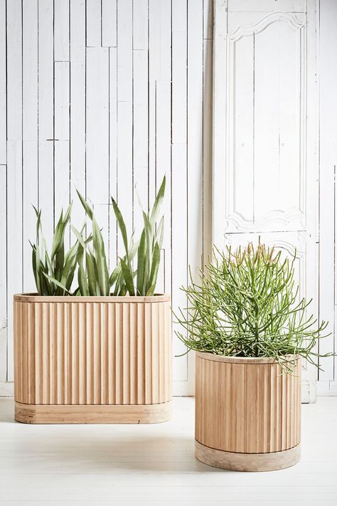 Adam Robinson's PLEAT COLLECTION of bamboo planters for House of Bamboo. Pictured colour is natural finish Bamboo Planters, Modern Office Design Inspiration, Timber Planters, Bamboo Planter, Wall Signage, Plant Box, Bamboo Crafts, Office Room Decor, Planter Design