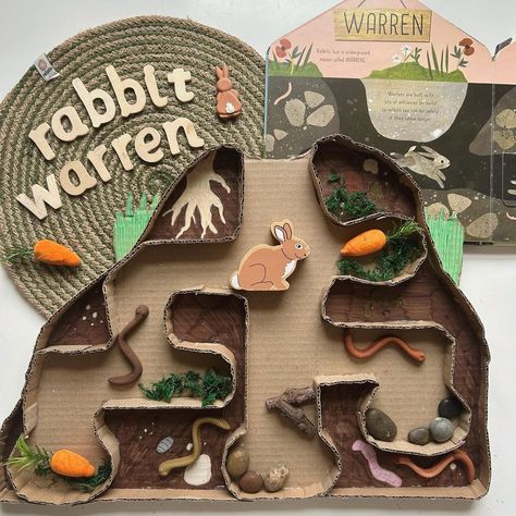 Rabbit House Diy, Diy With Paper, Rabbit Warren, Wc Oc, 2023 Rabbit, Rabbit House, Different Animals, Small Group Activities, House Diy