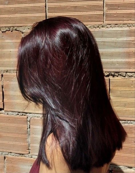 GORGEOUS RED HAIR COLOR IDEAS FOR GIRLS - color de pelo rojo Red Hair That Looks Black, Dark Dark Red Hair Color, Red Hair In Black Hair, Red Hair For Black Hair, Hair Color For Red Hair, Red Hair In Brown Hair, Brown Black Hair Ideas, Red Color On Black Hair, Black Into Red Hair