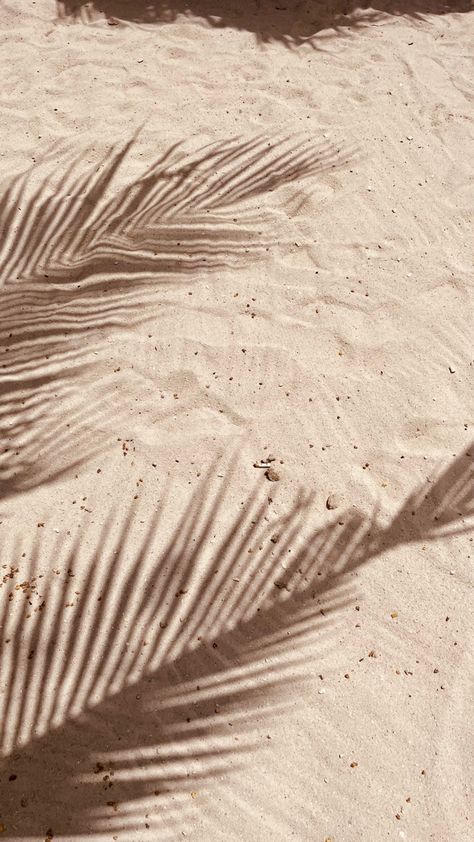 Spray Tan Marketing, Mood Images, Pretty Backgrounds, Summer Backgrounds, Beige Aesthetic, Jolie Photo, Brown Aesthetic, Beach Aesthetic, Nature Aesthetic