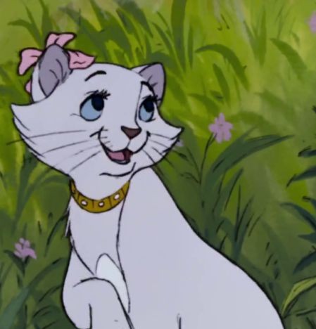 The Aristocats, 7k Followers, White Cat, Short Videos, Created By, White