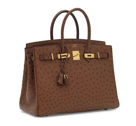 Brown Birkin, Hermes Wishlist, Ostrich Birkin, Alligator Handbags, Hermes Birkin Handbags, Hermes Kelly Bag, Colorful Handbags, Womens Bag, Popular Handbags