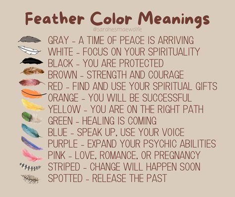 Feather Color Meanings Cardinal Feather Meaning, Feather Meaning Symbols Spiritual, Brown Feather Meaning, Feather Color Meaning, Feather Magic, Grimoire Ideas, Finding Feathers, Charm Casting, Feather Meaning