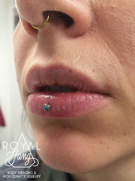 Inverse Labret Piercing, Inverse Vertical Labret, Piercing Aesthetic, Ashley Piercing, Vertical Labret Piercing, Panty Design, Piercing Inspo, Cool Piercings, Labret Piercing