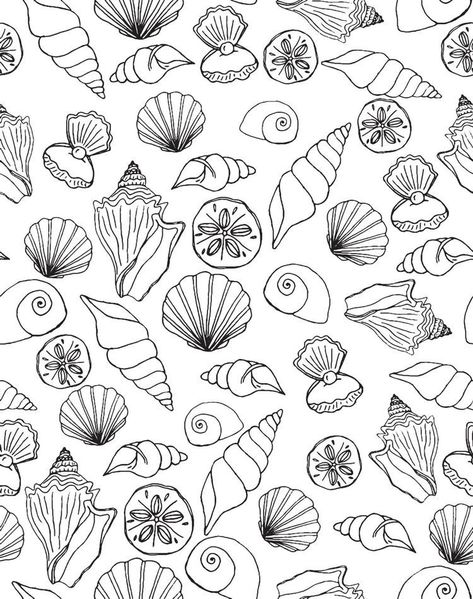 Sea Shells Illustration, Shells Illustration, Seashell Drawing, Crafts Drawing, Shell Drawing, Ocean Drawing, Sea Drawing, Theme Tattoo, Ocean Crafts