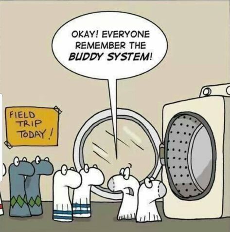 Buddy System Laundry Humor, Funny P, Clean Humor, Hilarious Memes, Memes Humor, Funny Socks, E Card, A Cartoon, Funny Cartoons