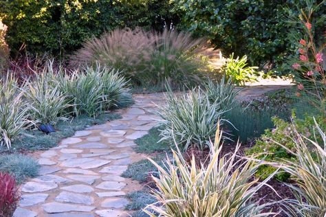 See a California Coastal Front Yard Get a Drought Tolerant Makeover Drought Tolerant Plants California, Beach Theme Garden, Coastal Backyard, Drought Tolerant Landscape Front Yard, Landscaping Architecture, California Backyard, Backyard Walkway, Drought Resistant Plants, Waterwise Garden