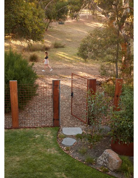 Melbourne Home, Melbourne House, Fence Landscaping, Backyard Fences, Ideas Garden, Camping Ideas, Fence Design, Art Sculptures, Garden Fence