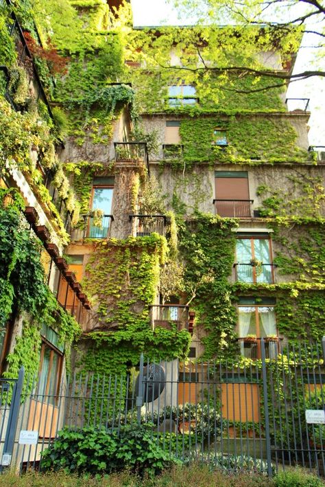 Eco Brutalism, Eco City, I Want To Live, Green Architecture, Brutalism, Pretty Places, Fantasy Landscape, Abandoned Places, Amazing Architecture