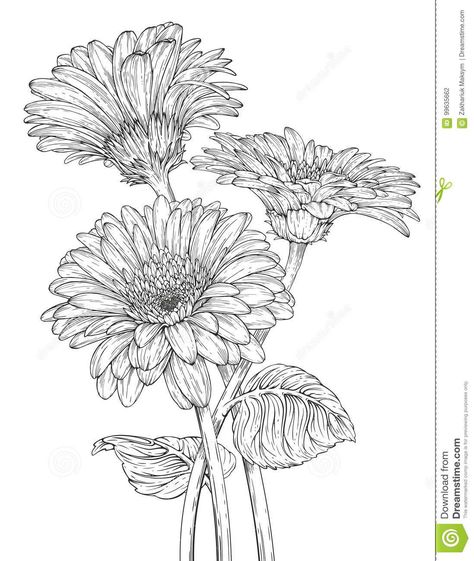 Illustration about Hand drawn ink illustration of three Gerbera Daisy flowers. Illustration of fashion, flower, element - 99635662 Gerbera Flower Painting, Gerbera Embroidery, Gerberas Drawing, Gerbera Flower Drawing, Gerbera Painting, Daisy Drawing, Pencil Drawings Of Flowers, Flower Sketch, Gerbera Flower