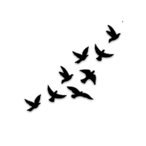 Bird Silhouette Tattoos, Tattoo Silhouette, Marine Tattoo, Vogel Silhouette, Vogel Tattoo, Black Bird Tattoo, Flying Bird Tattoo, Silhouette Tattoos, Manhattan Project