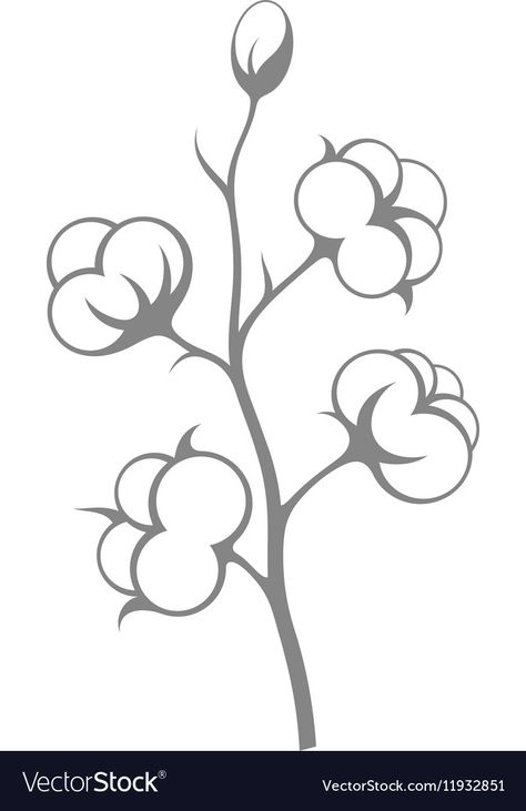 Cotton Flower Illustration, Large Canvas Art Ideas, Canvas Drawing Ideas, Cotton Drawing, Cotton Illustration, Canvas Art Ideas, Outline Pictures, What Should I Draw, Cotton Tree